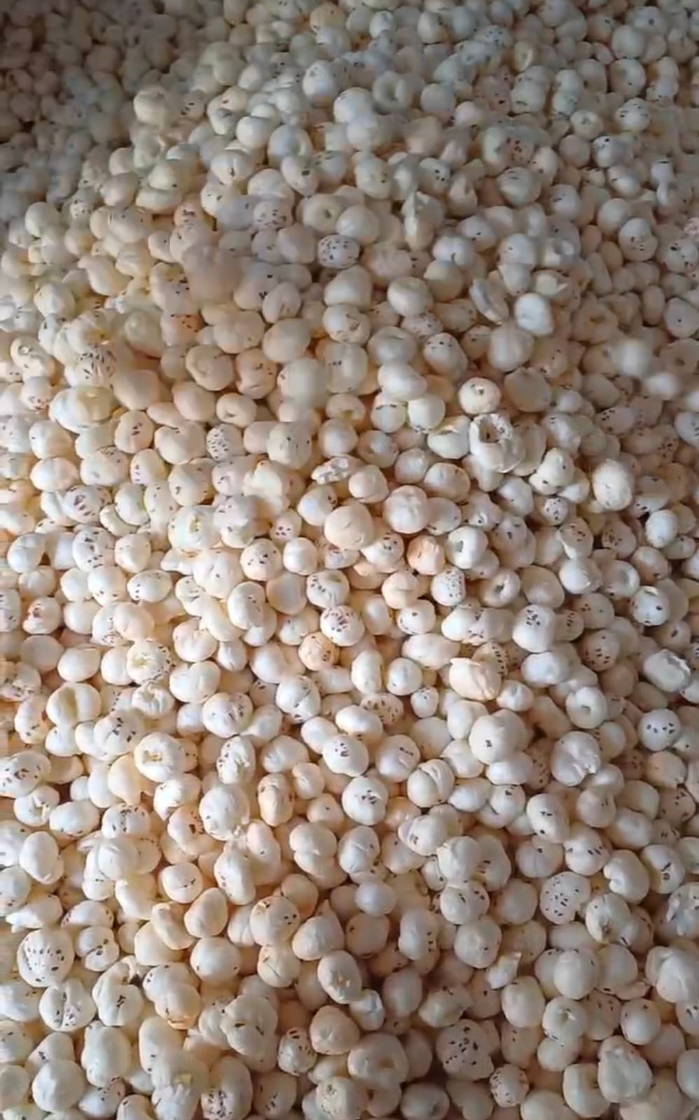 Premium Makhana